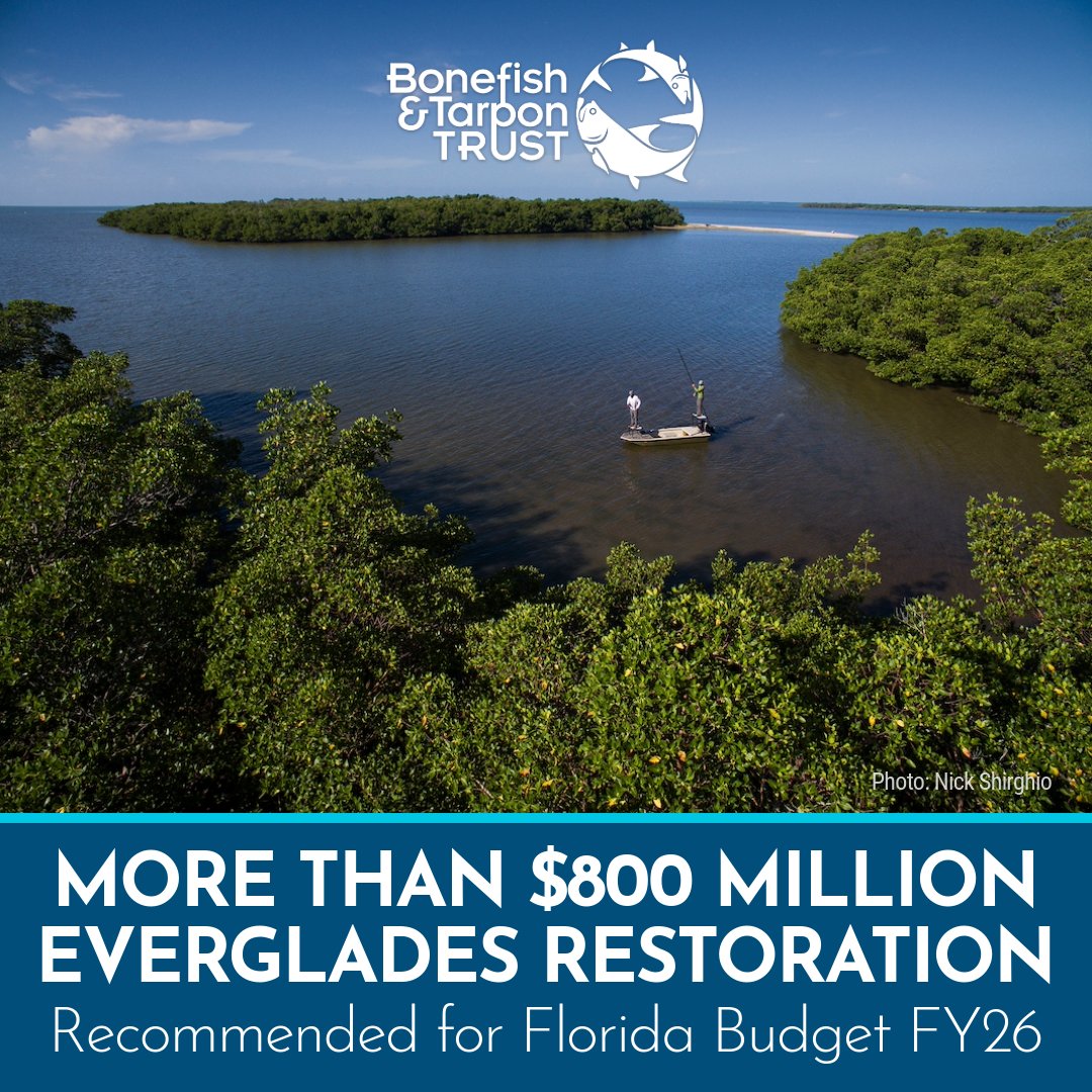 Bonefish & Tarpon Trust (@bonetarpontrust) on Twitter photo Thank you to our Florida legislators for continuing to invest in the #Everglades, which fuels our thriving tourism and fishing industries. Thank you Speaker <a href="/Daniel_PerezFL/">Daniel Perez</a> and Senate President <a href="/Sen_Albritton/">Ben Albritton</a> for your leadership. Thank you to our Florida legislators for continuing to invest in the #Everglades, which fuels our thriving tourism and fishing industries. Thank you Speaker <a href="/Daniel_PerezFL/">Daniel Perez</a> and Senate President <a href="/Sen_Albritton/">Ben Albritton</a> for your leadership.