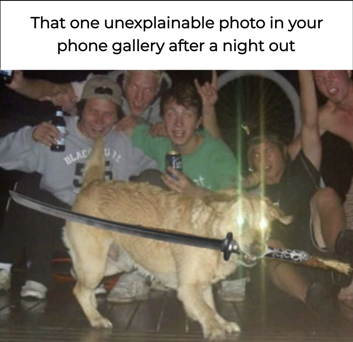 Scroll and Giggle (@giggle_scroll95) on Twitter photo 