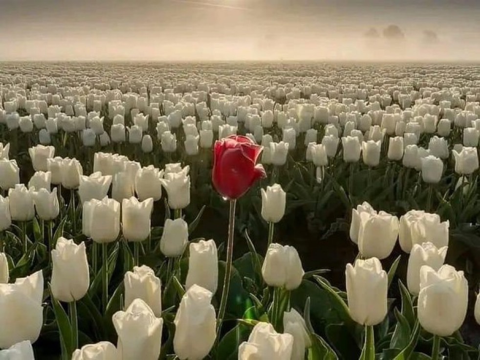 How i see you in my eyes.