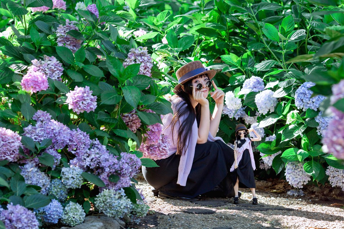 ｱｼﾞｻｲｻｲ