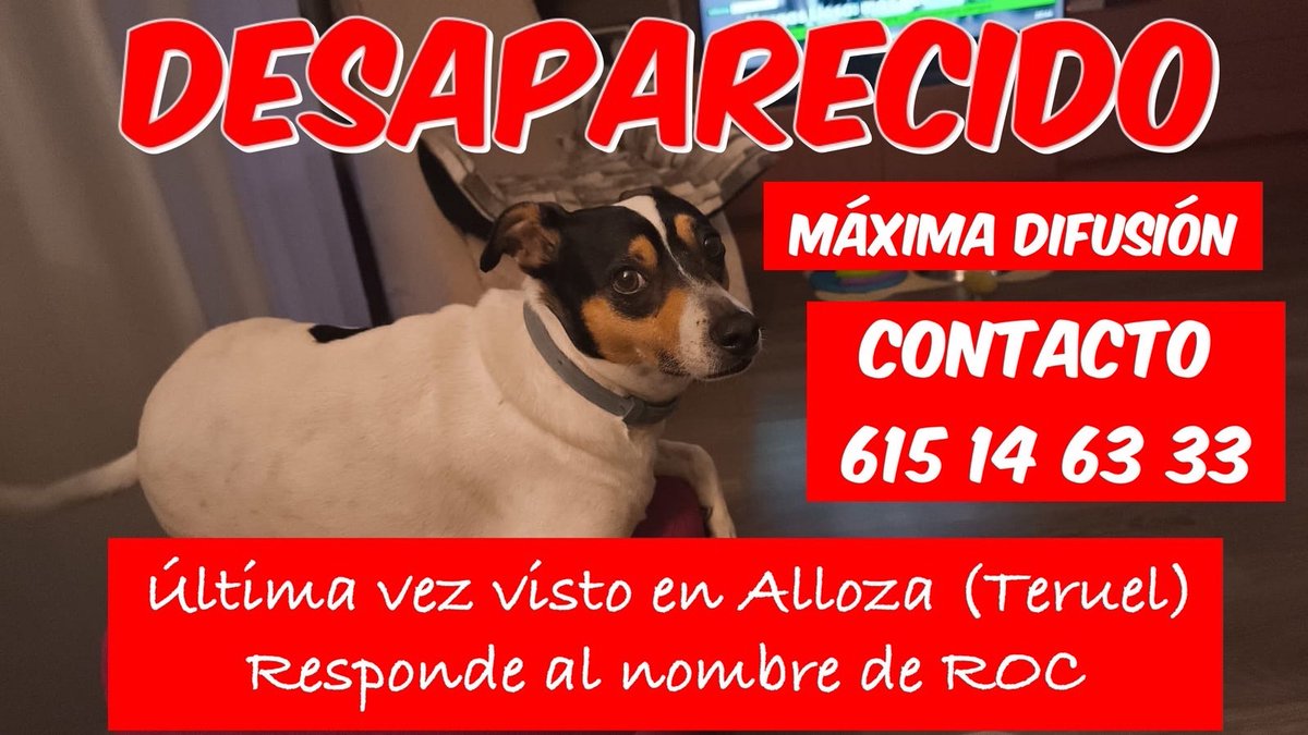 Adopta K9 tweet media
