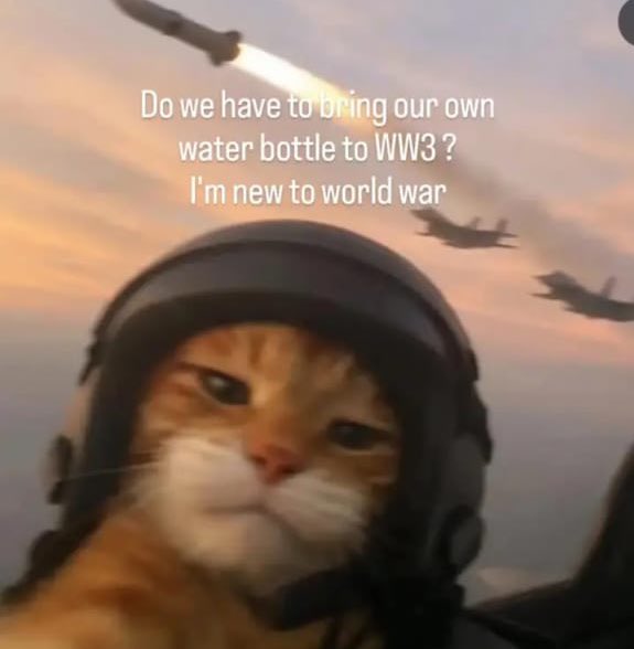 jeje (@jestjeje) on Twitter photo 