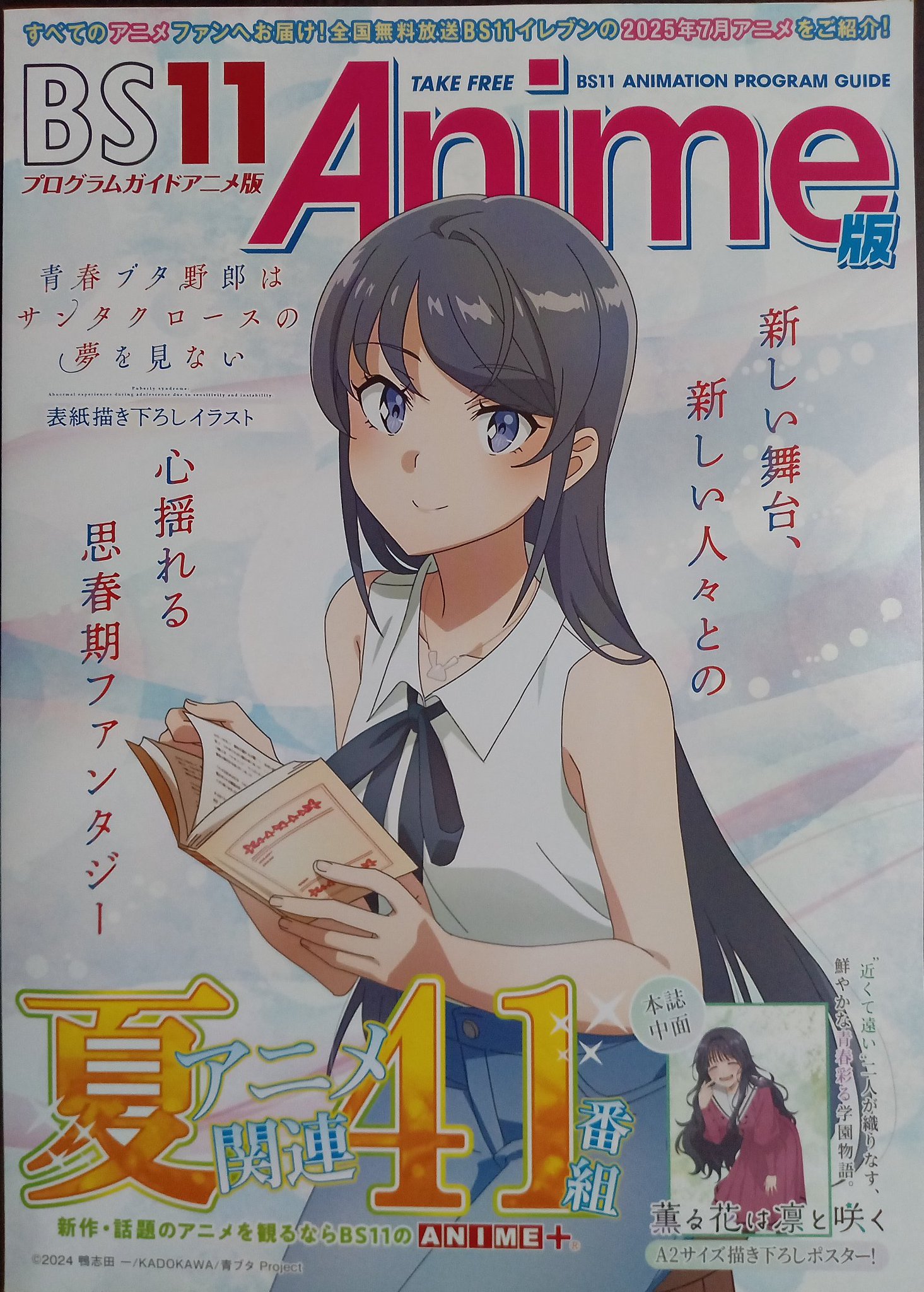 アニメポスター　夏色のエプロン　ポスター 暗き魔術師 on X: 