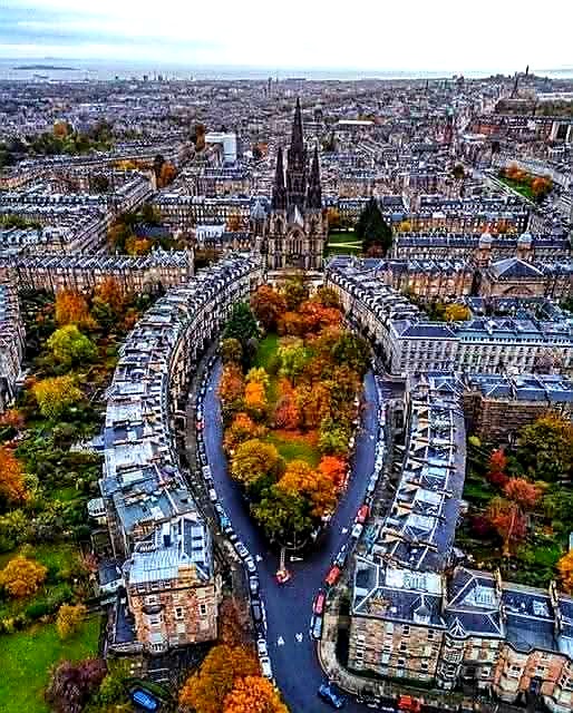 Елена 🌹 tweet media