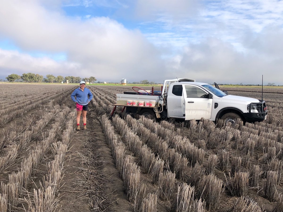 Soil sample done for winter 2025.
“We” didn’t get bogged on the second attempt.
#riskwise  @grdc <a href="/GRDCNorth/">GRDC North</a> <a href="/gentry_jayne/">Jayne Gentry</a>