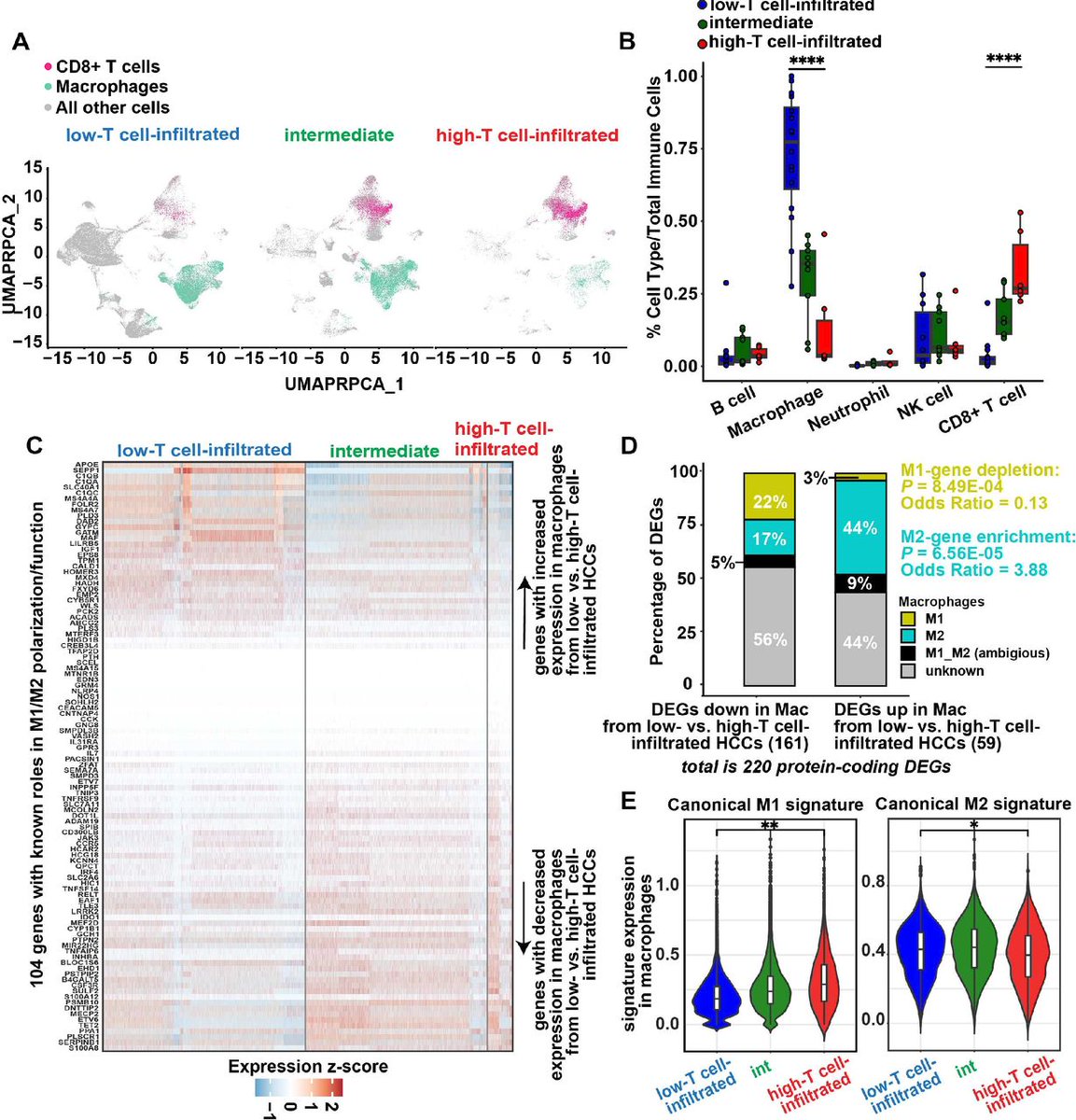 Journal for ImmunoTherapy of Cancer (@jitcancer) on Twitter photo New #JITC article: Multiomics identifies tumor-intrinsic SREBP1 driving immune exclusion in hepatocellular carcinoma bit.ly/4lcxHLC <a href="/RyanAugustinMD/">Ryan C. Augustin</a> <a href="/PancPathologist/">Aatur Singhi, MD PhD</a> <a href="/CarstenKriegPhD/">Carsten Krieg</a> <a href="/RiyueSunnyBao/">Riyue Sunny Bao, PhD</a> New #JITC article: Multiomics identifies tumor-intrinsic SREBP1 driving immune exclusion in hepatocellular carcinoma bit.ly/4lcxHLC <a href="/RyanAugustinMD/">Ryan C. Augustin</a> <a href="/PancPathologist/">Aatur Singhi, MD PhD</a> <a href="/CarstenKriegPhD/">Carsten Krieg</a> <a href="/RiyueSunnyBao/">Riyue Sunny Bao, PhD</a>