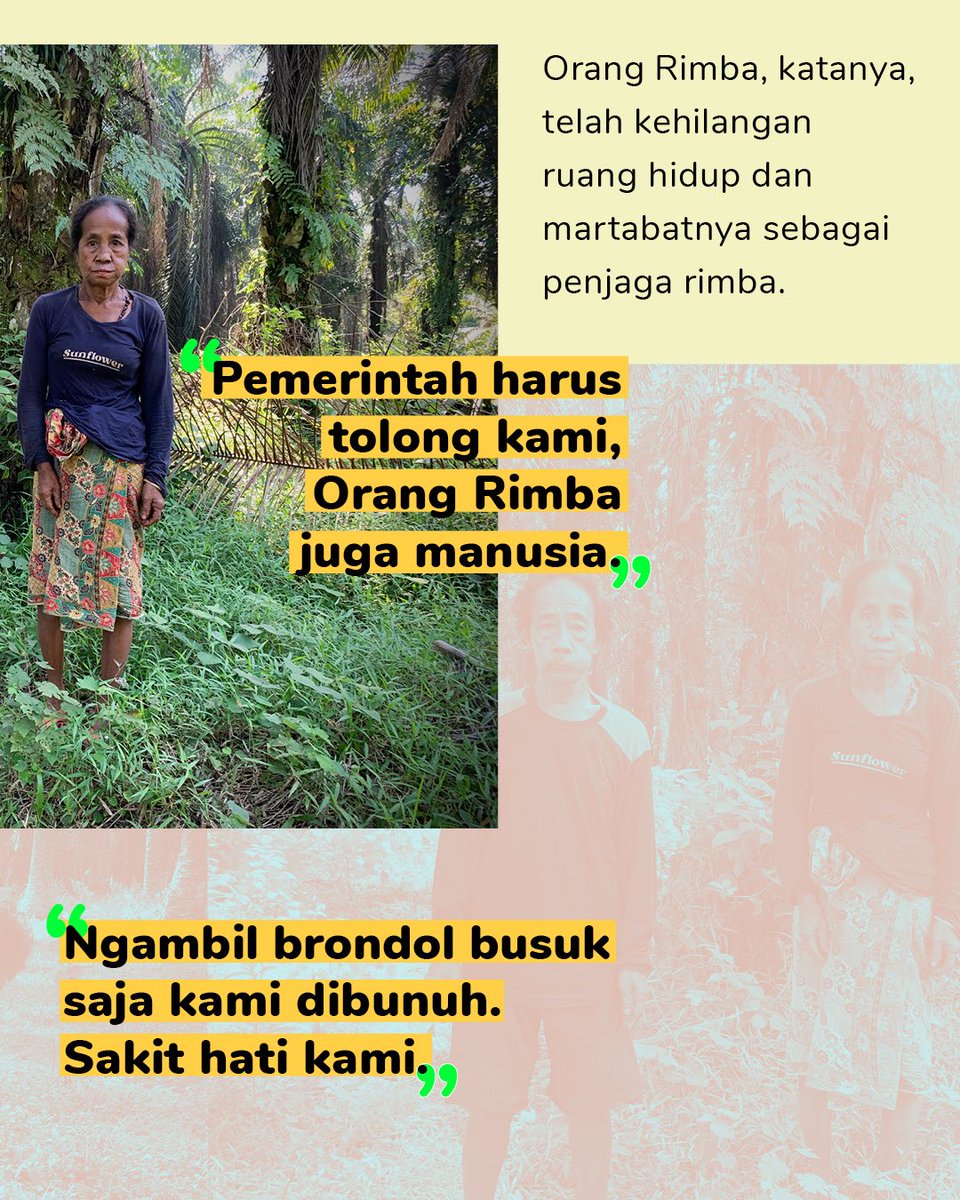Ketika negara lebih sibuk memutihkan sawit ilegal &amp; membanggakan program MBG, Orang Rimba justru mati karena lapar. Ketika perempuan Rimba keguguran &amp; anak-anak Rimba tumbuh dengan gizi buruk dan tanah untuk hidup, siapa yang lebih pantas disebut pencuri?

projectmultatuli.org/pembunuhan-ora…