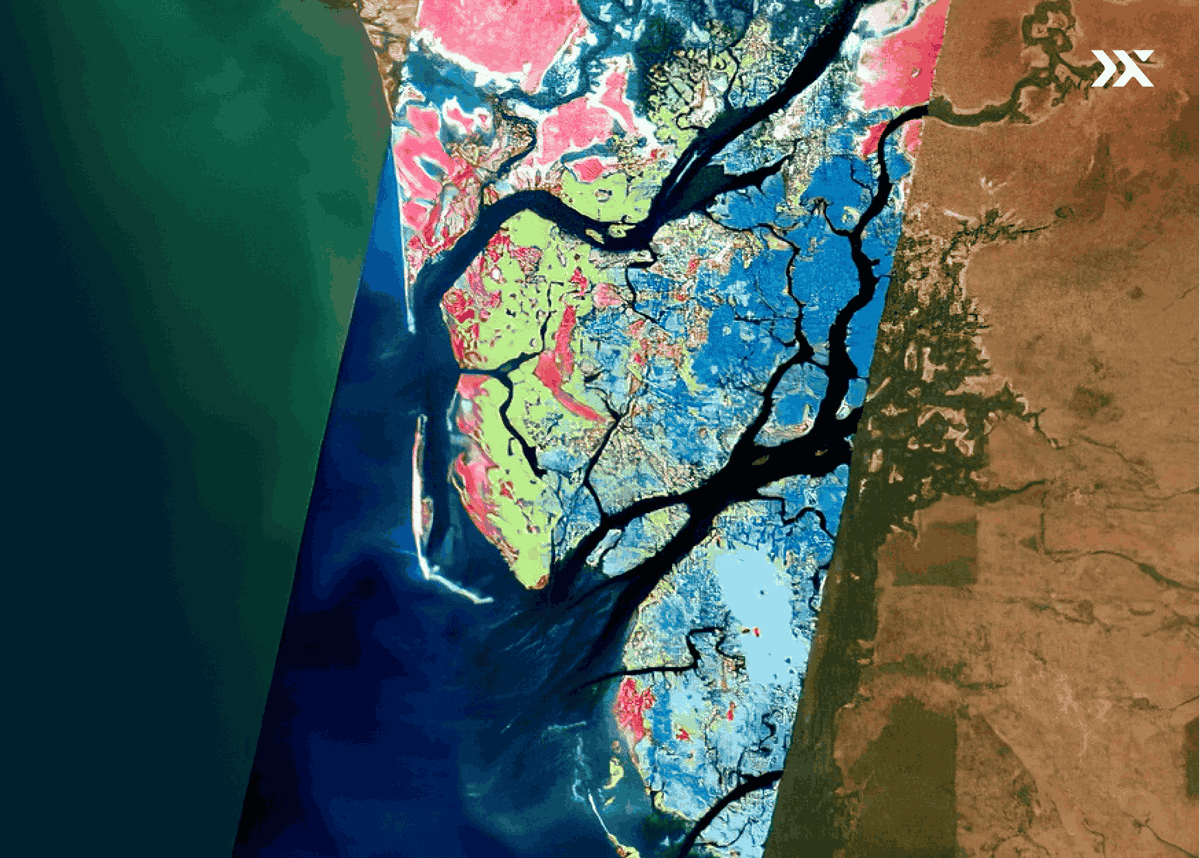 PixxelSpace's tweet image. Mangroves absorb up to 10x more carbon than terrestrial forests! 🌲🛰️
Hyperspectral imaging satellites are helping classify mangrove species in Senegal’s deltas, unlocking powerful insights for blue carbon estimation and biodiversity monitoring.
Find out how we're unlocking…