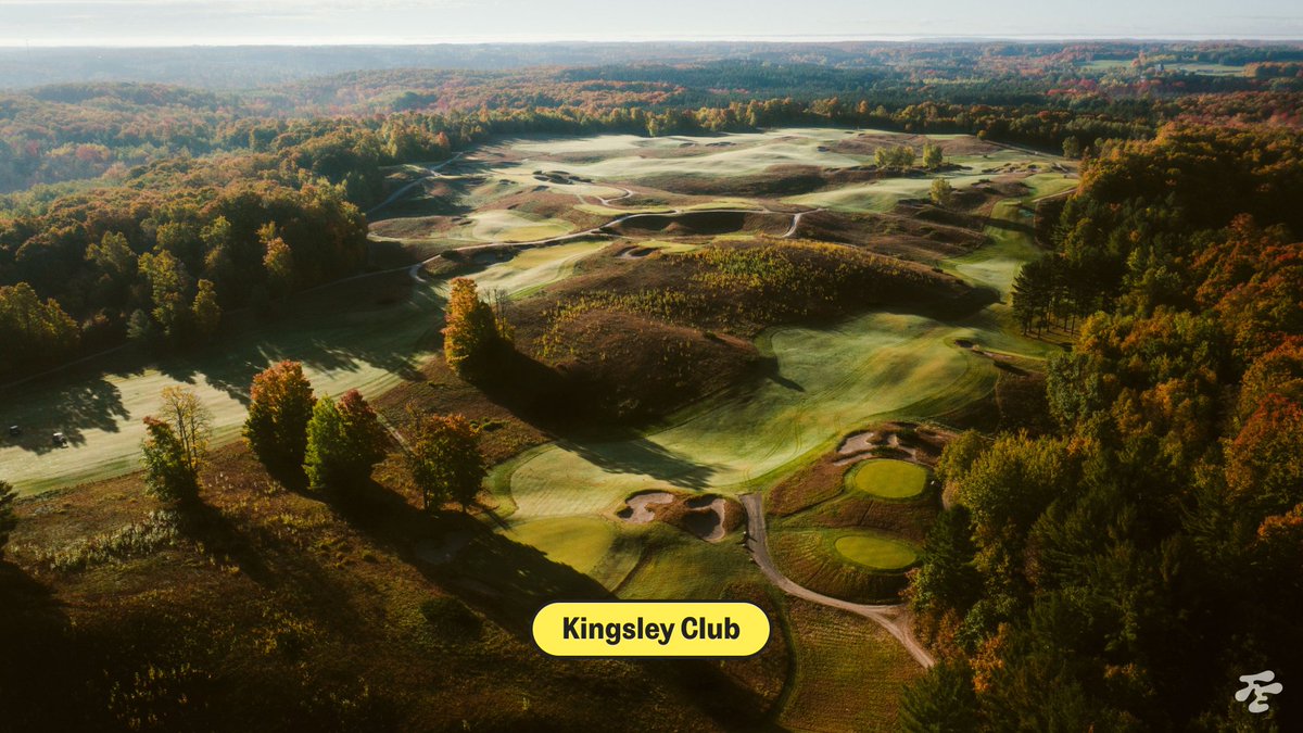 Fried Egg Golf tweet media