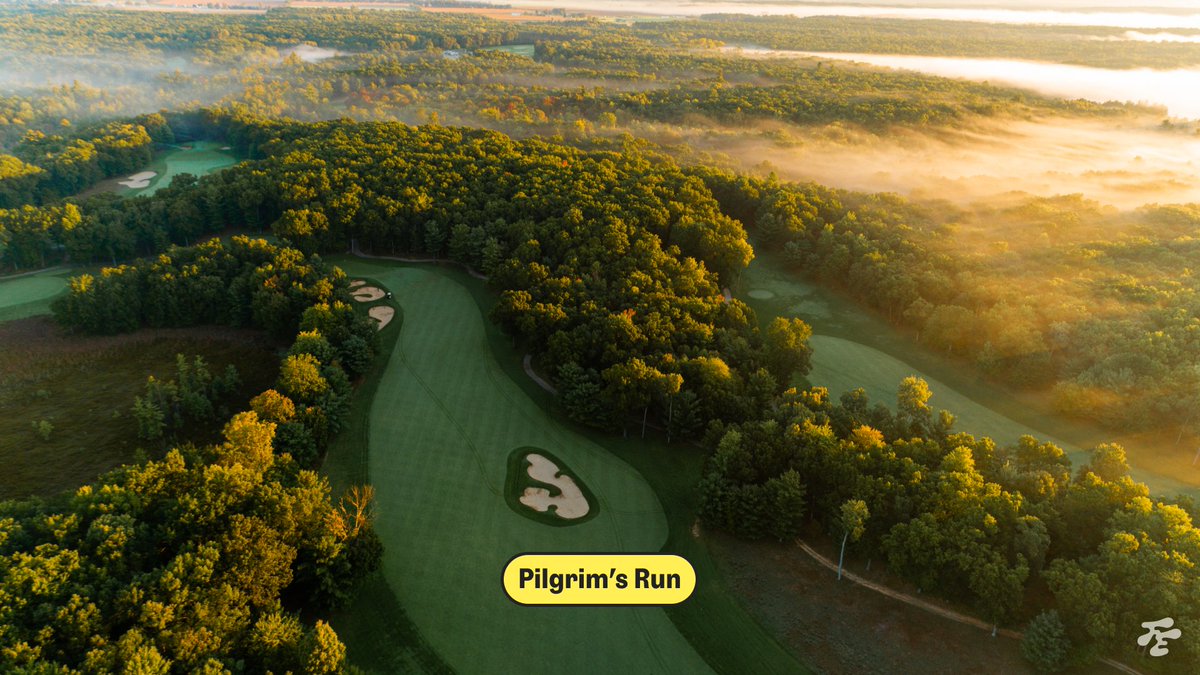 Fried Egg Golf tweet media