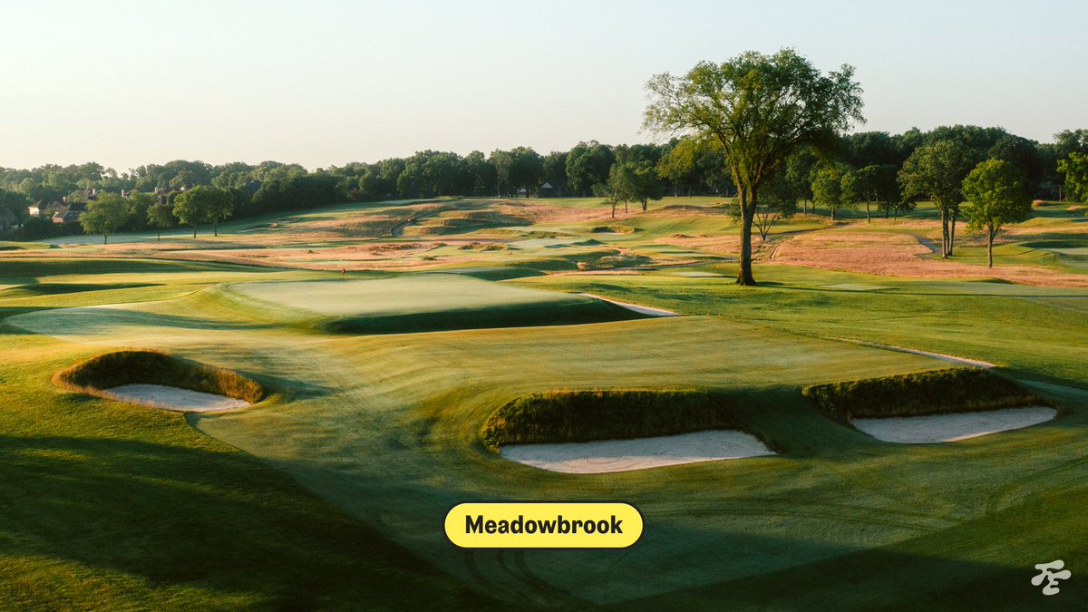 Fried Egg Golf tweet media