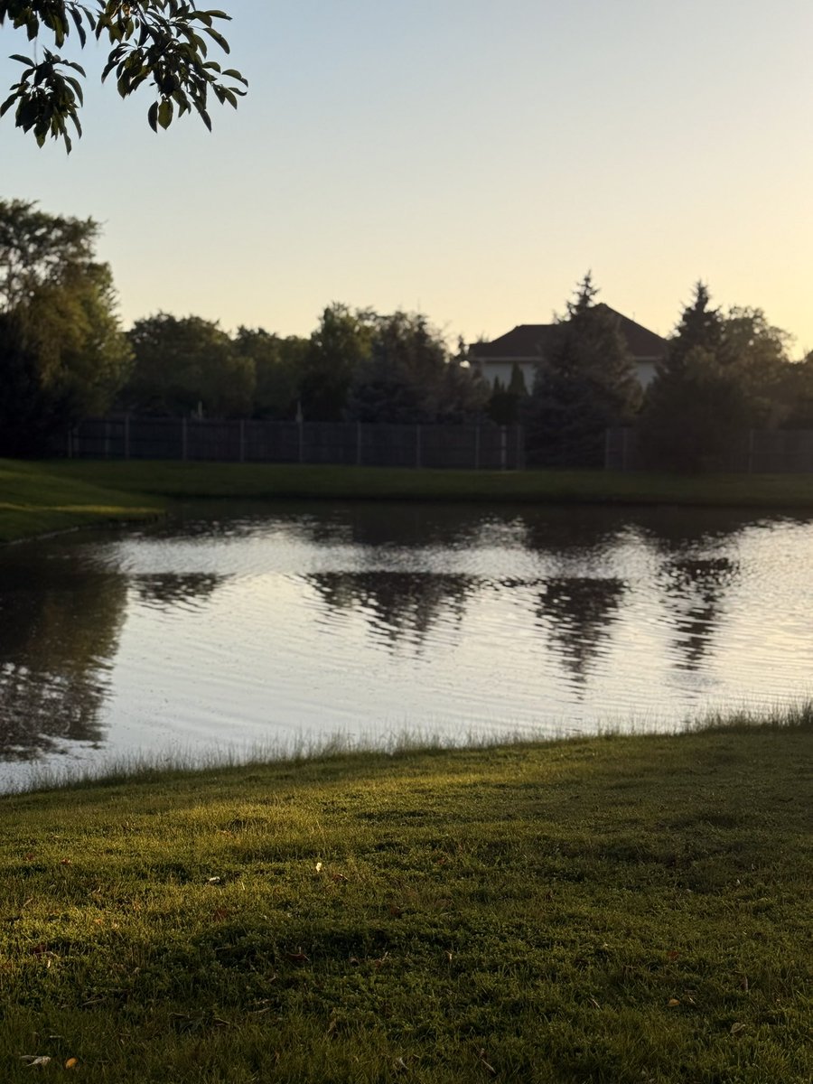 tabiatle hasir nesir, 
kırlarda geçen ikindi vakti.
sakin-dinlenmis-rahat 
bir gün daha bitti.

— behçet necatigil, kır şarkısı