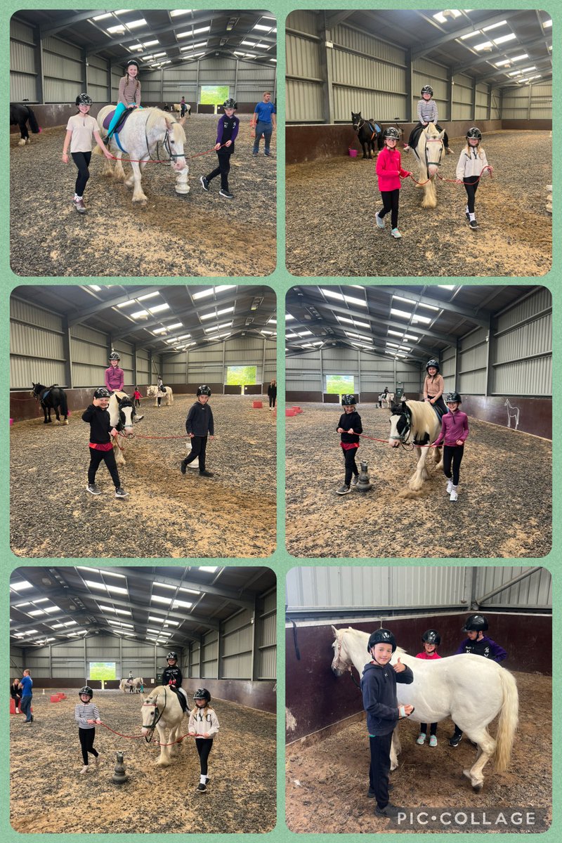 DGwennol's tweet photo. Marchogaeth ceffylau/Horse riding 🐴 #Llangrannog @YsgolLlanhari https://t.co/sNJ0Eu8cFU