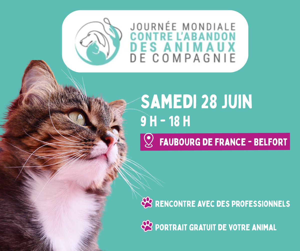 #StopAbandon
La Ville de Belfort participe à la journée mondiale contre l'abandon des animaux de compagnie samedi 28 juin. Rendez-vous de 9 h à 18 h à la fontaine de Rougemont, faubourg de France.
belfort.fr/actualites/bel…