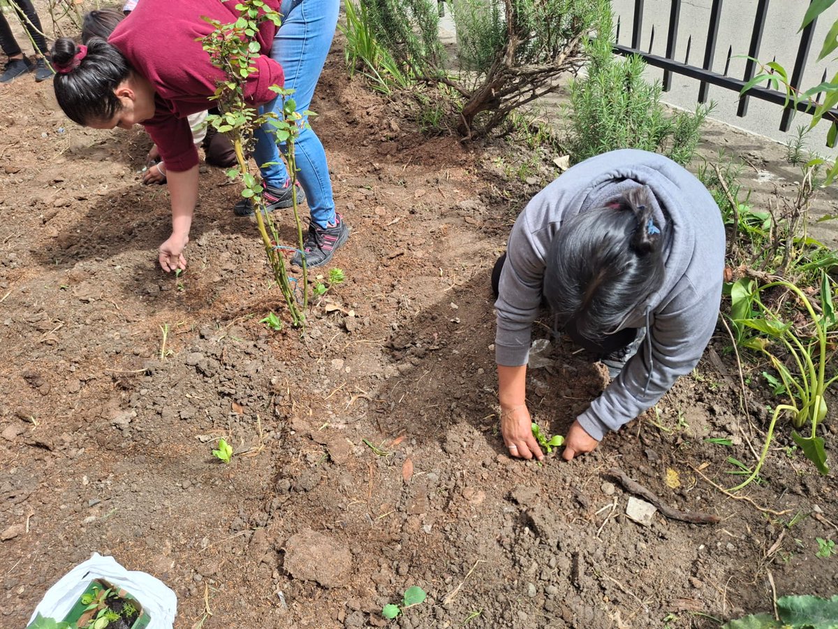 Agricultura_CZ6's tweet photo. #Azuay| Con la Mesa Técnica @InfanciaEc, capacitamos a 25 madres del CNH Carlos Crespi, en la implementación de huertos urbanos.

Con apoyo de @UCatolicaCuenca, @Salud_Ec  e @InclusionEc, entregamos semillas y promovemos el autocultivo familiar para una alimentación saludable. https://t.co/GpTcM3NJQC