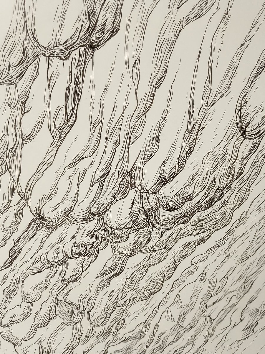 Elif Yildiz (@pigfreud) on Twitter photo 