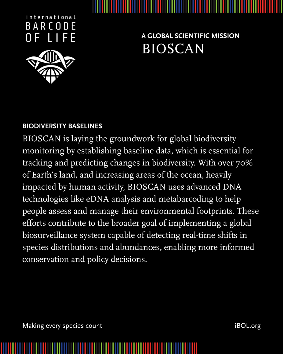 iBOLConsortium's tweet photo. 🌍 BIOSCAN, a mission to analyze >10M specimens to:
✅ Accelerate species discovery
✅ Uncover species interactions 
✅ Establish biodiversity baselines 

Coordinated from @CBG_UofG
📎 https://t.co/ApRLuDxrVI
#BIOSCAN #biodiversity #DNA https://t.co/pCXeRuDy9g