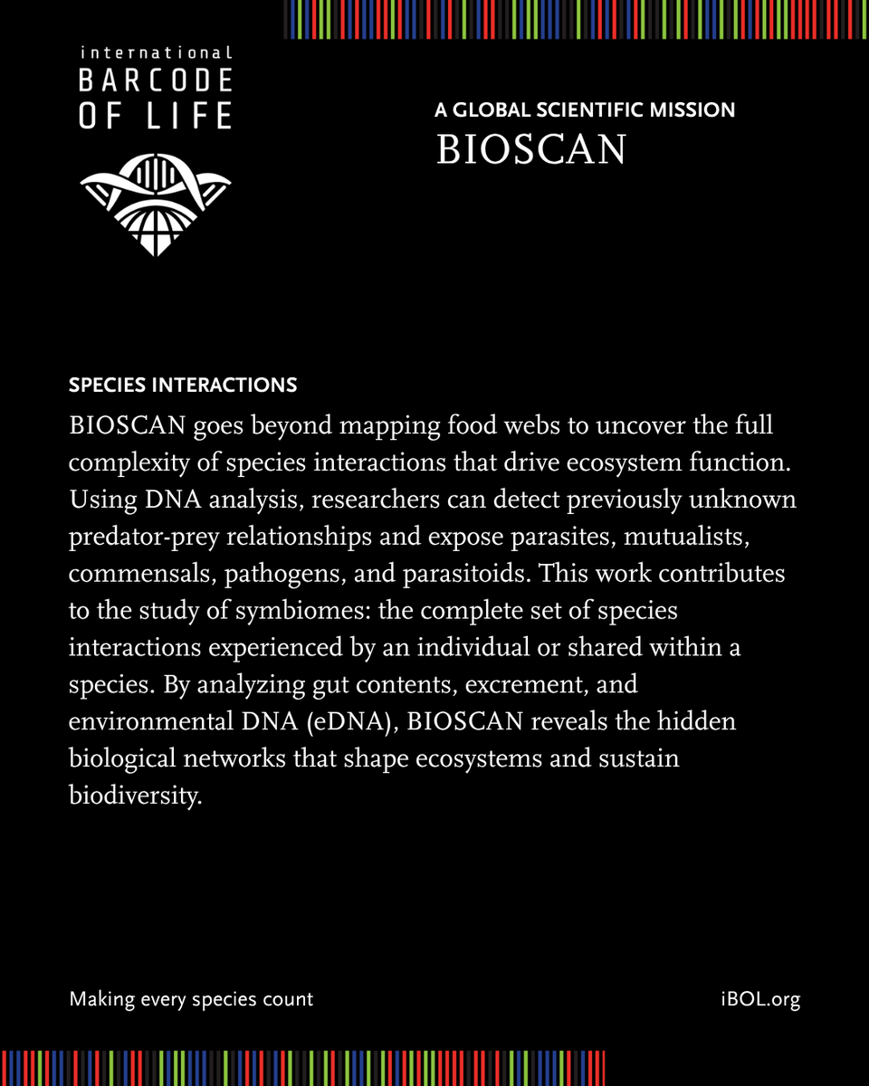 iBOL Consortium (@ibolconsortium) on Twitter photo ๐ BIOSCAN, a mission to analyze >10M specimens to:
โ
Accelerate species discovery
โ
Uncover species interactions
โ
Establish biodiversity baselines
Coordinated from <a href="/CBG_UofG/">Centre for Biodiversity Genomics (CBG)</a>
๐ iBOL.org
#BIOSCAN #biodiversity #DNA ๐ BIOSCAN, a mission to analyze >10M specimens to:
โ
Accelerate species discovery
โ
Uncover species interactions
โ
Establish biodiversity baselines
Coordinated from <a href="/CBG_UofG/">Centre for Biodiversity Genomics (CBG)</a>
๐ iBOL.org
#BIOSCAN #biodiversity #DNA