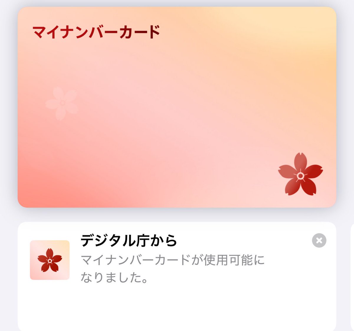 MyNumberCard on iPhone.