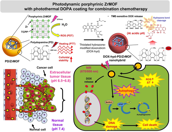 SPJournals's tweet image. JUST PUBLISHED: Autophagy-Regulating, Photothermal Polydopamine-Coated, and Photodynamic Zirconium/Porphyrin-Framed Metal–Organic Frameworks for Enhanced Doxorubicin Therapy in Colon Cancer
Click here to read the latest from Biomaterials Research: spj.science.org/doi/10.34133/b…