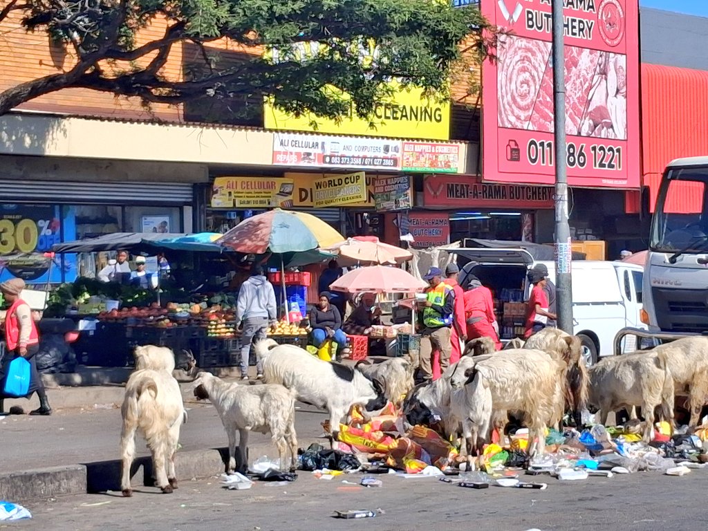 JMPD showcasing Johannesburg today 24 June 25... Fkn unbelievable what's happened and what's been allowed to happen...