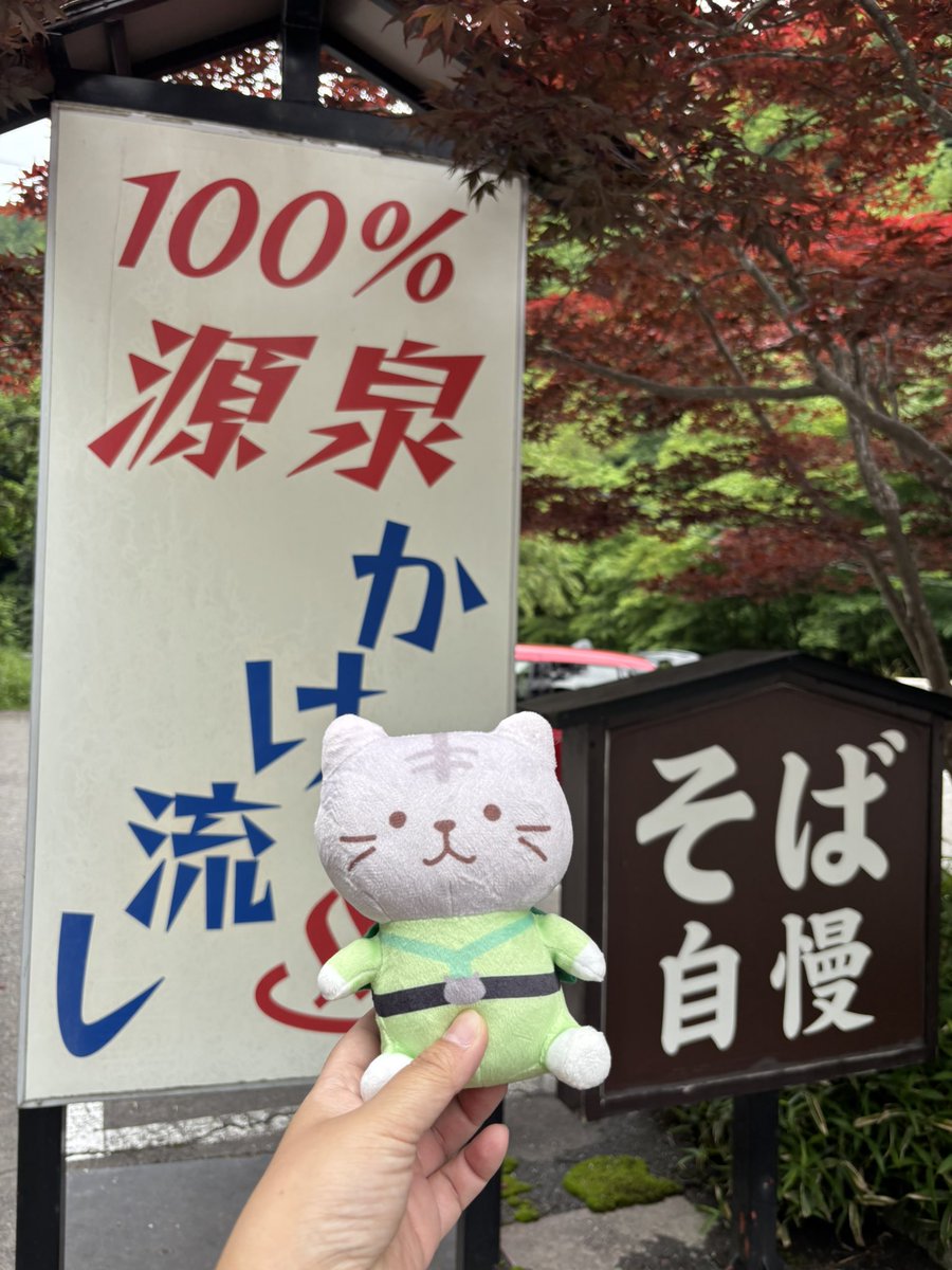 crosscub_red110's tweet image. お誕生日サバちゃんと温泉ドライブしてきたよー😺♨️
お誕生日おめでとう🎉🍞✨

#ふくふくにゃんこ
#ふくにゃんバースデー