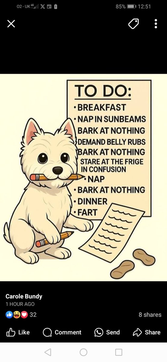 😂🤣😂🤣#ZSHQ