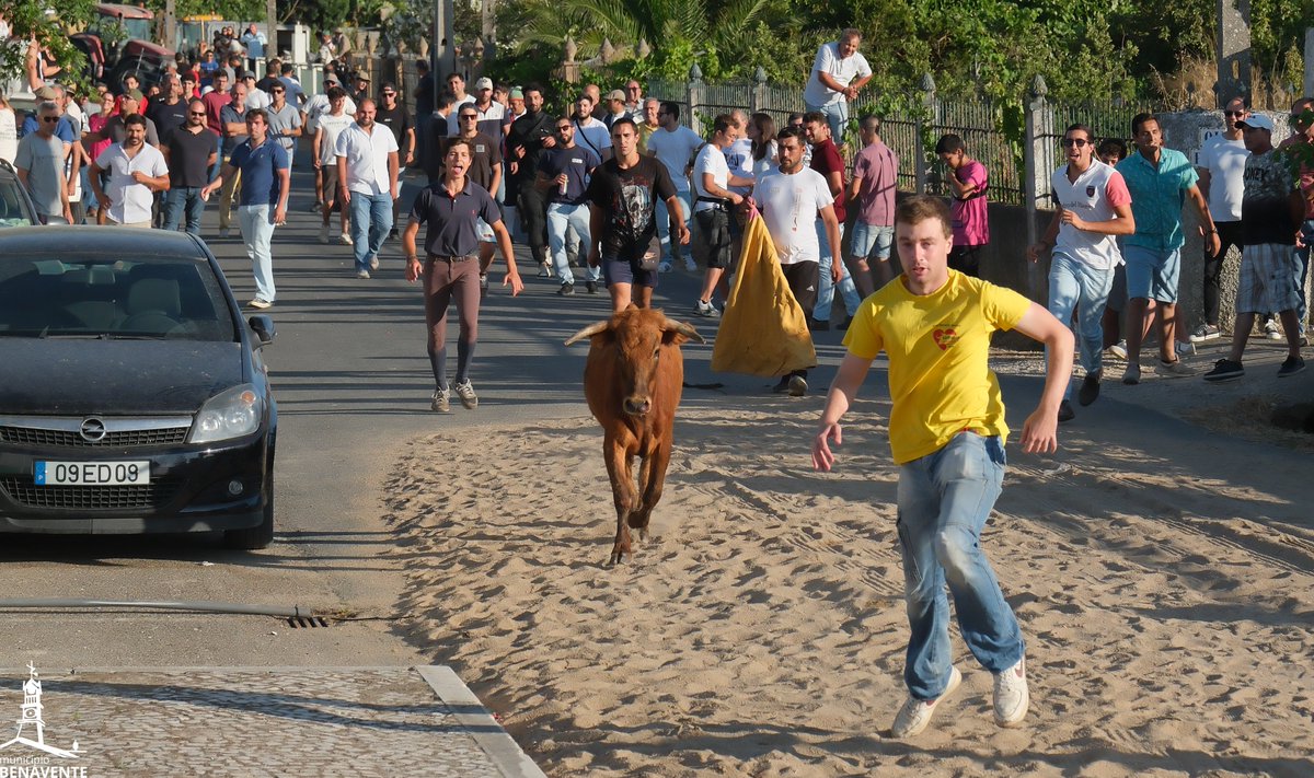 BenaventeCamara's tweet image. 🥳 ARADOS EM FESTA EM HONRA DE SÃO JOÃO BAPTISTA
😍 Uma festa cheia de tradições ribatejanas que tem vindo a crescer. A festa em Honra de São João Baptista na localidade dos Arados, em #SamoraCorreia, recebeu gente bem disposta que gosta do Ribatejo.
-
#festa #arados