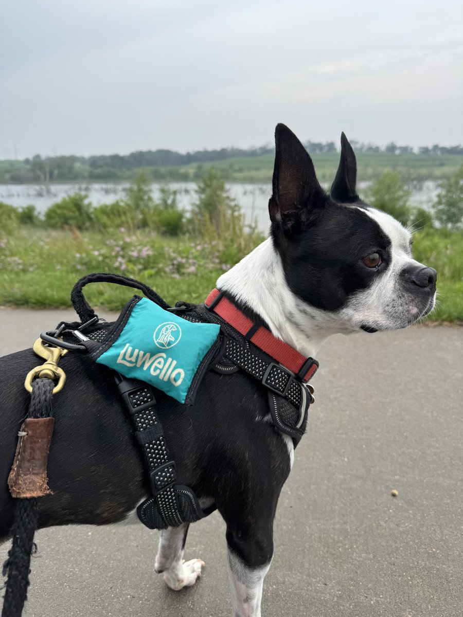 jessimorrell_'s tweet image. I’m definitely not a photographer, but I love being able to take still shots for brands - even when they don’t ask for them!📸🫶🏼 It’s the little things that go a long way!