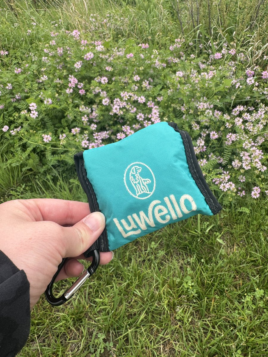 jessimorrell_'s tweet image. I’m definitely not a photographer, but I love being able to take still shots for brands - even when they don’t ask for them!📸🫶🏼 It’s the little things that go a long way!