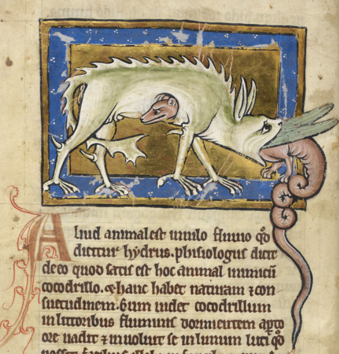 Medieval dieting
 <a href="/noom/">Noom</a> 

Royal 12 C. XIX, f.12v <a href="/britishlibrary/">British Library</a> <a href="/BLMedieval/">Medieval Manuscripts</a>