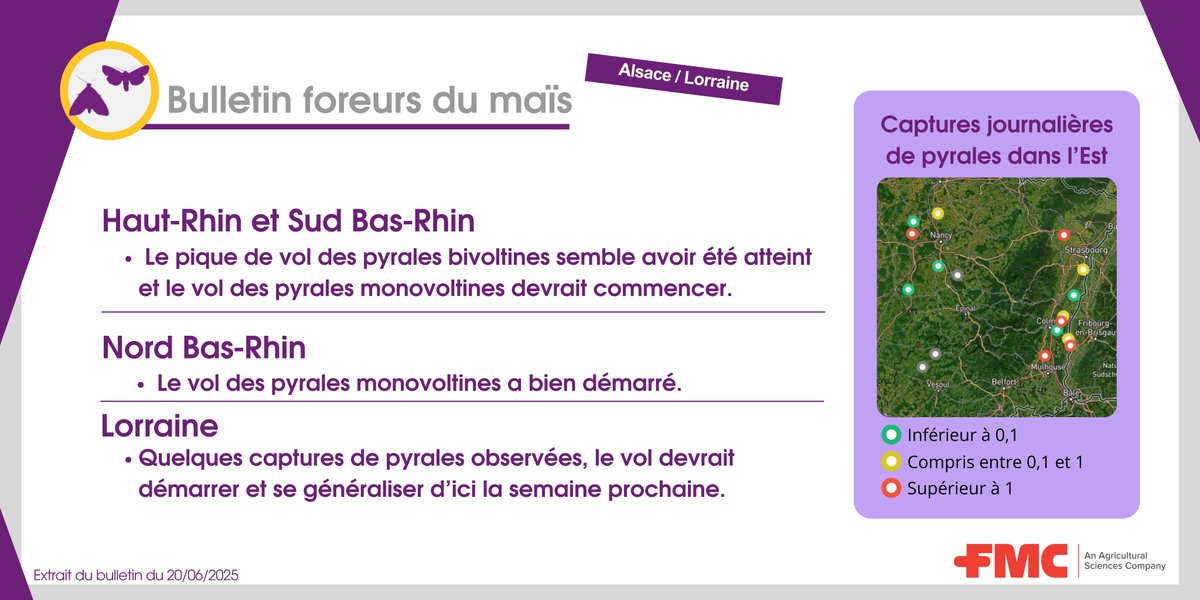 C'est au tour de l'Alsace / Lorraine de passer sous les radars du bulletin foreurs 🐛

Les vols évoluent et de nouveaux signaux seront à observer courant semaine prochaine🧐
 
Affaire à suivre sur Arc farm intelligence📲