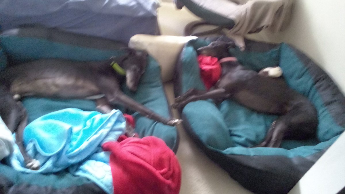 RunhamKevin's tweet photo. Lazy Tuesday afternoon with the air con on https://t.co/wclrdRZrqC