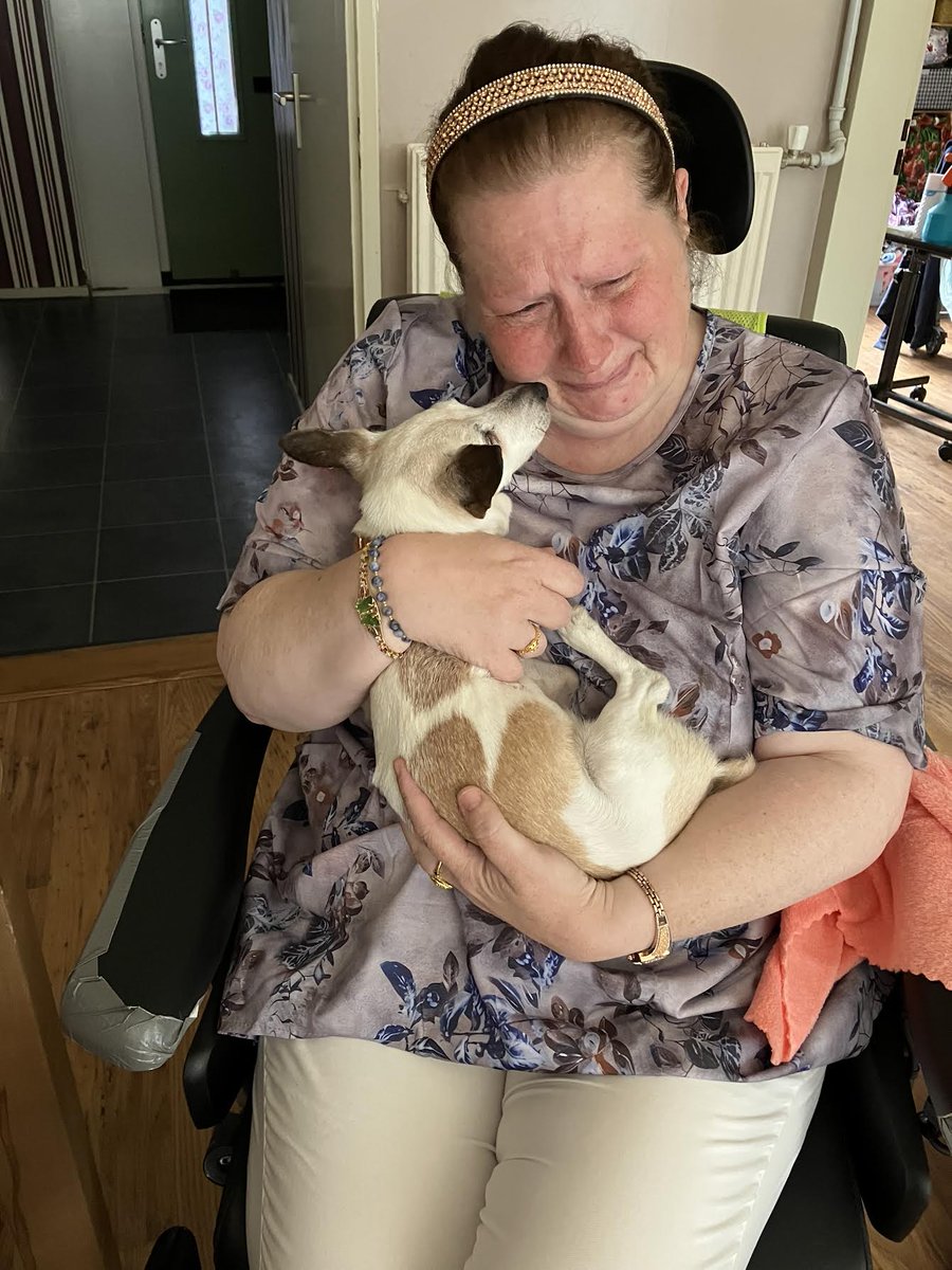 Lieve mensen met pijn  en enorm verdriet moet ik jullie mede delen gisteren is mijn allerliefste beste maatje heen gegaan over de regenboog naar de Hemel 🐶ik  ben  zo  kapot  mis  jou  mijn  kleintje