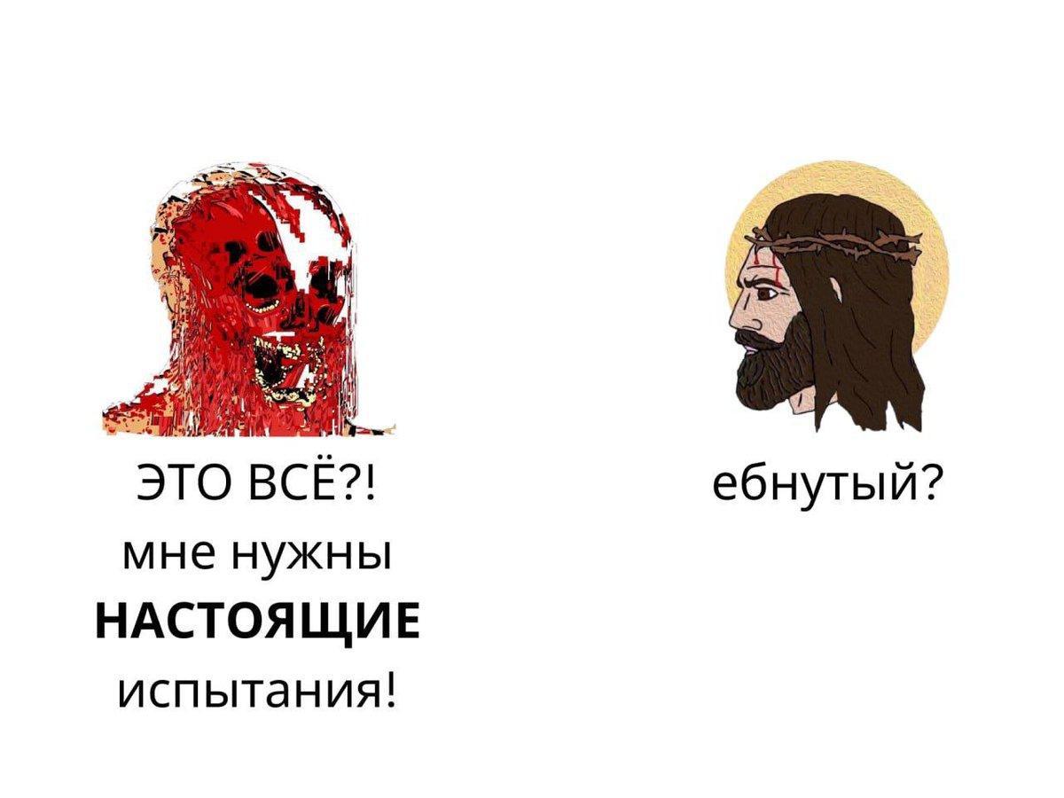 даша tweet media
