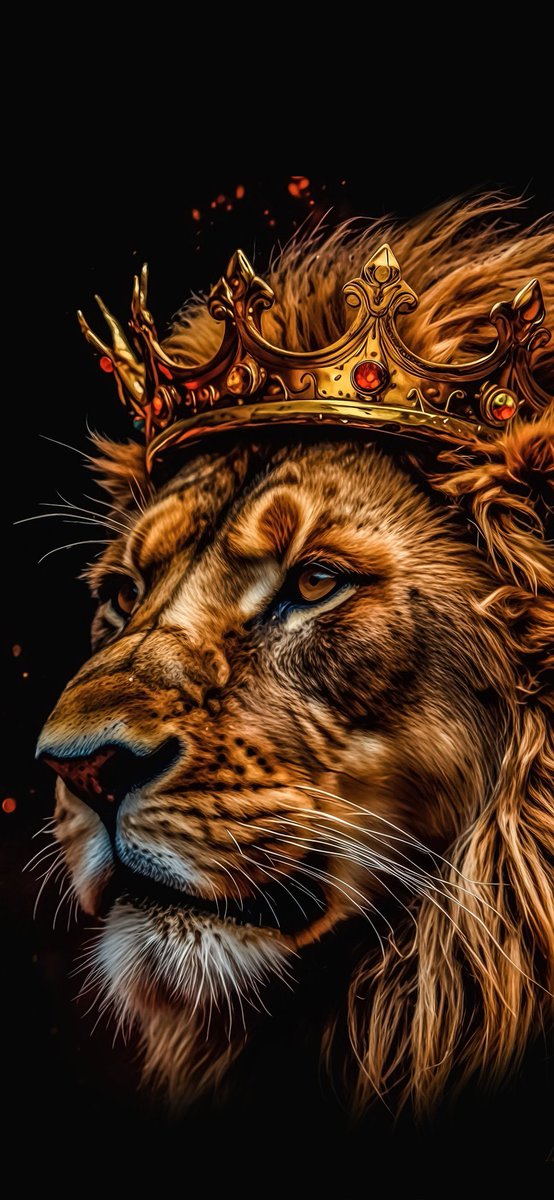 zalifar79's tweet photo. @Tr1n1tyD1dThat #leosquad ♌️ https://t.co/UUigRkfcZN