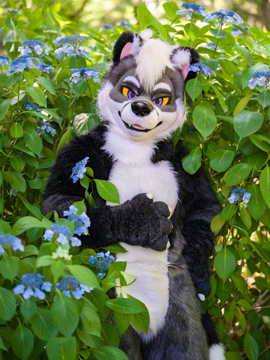 紫陽花の綺麗な公園に遊びに行きました！
📸 <a href="/TheYamori/">Yamori🔜FurstClass🇰🇷</a>