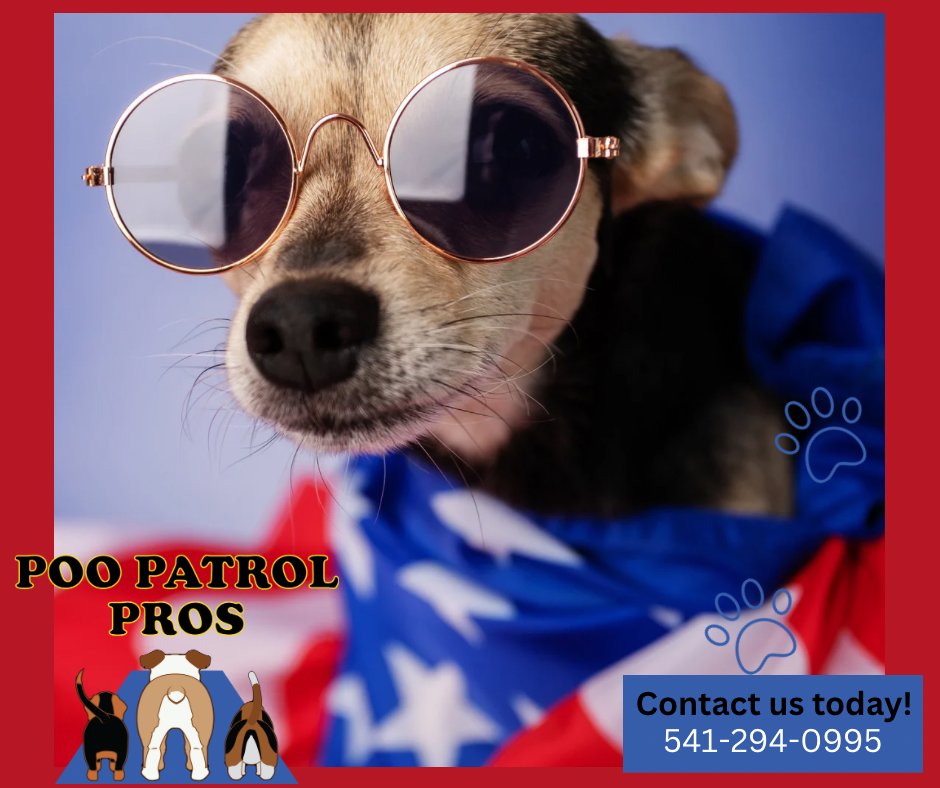 poo_pros43733's tweet image. 4th of July is almost here! 🇺🇸 Celebrate Independence Day with a clean yard! Let Poo Patrol Pros handle the mess while you enjoy the fun. Keep your lawn fresh and festive this 4th of July! Call us today! 🎆 #PooPatrolPros #4thOfJuly #PetCleanup