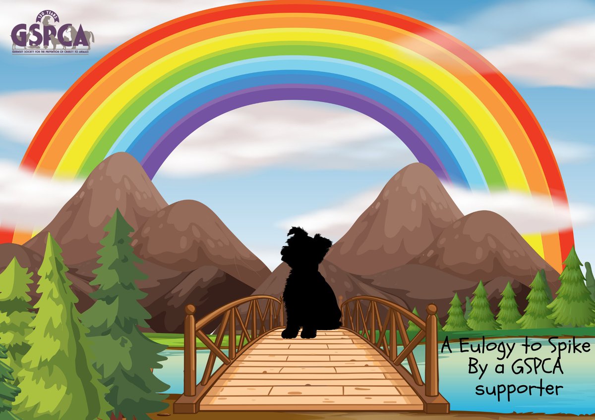 A Special Eulogy to Spike by a GSPCA Supporter gspca.org.gg/blog/special-e…