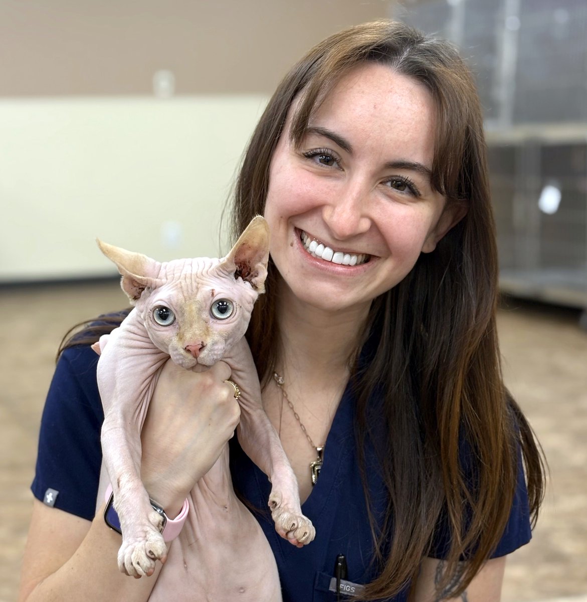 Come see us at TCAP to take advantage of our 'Premium Feline Vaccine Package' for just $35!😸

⏰Calendar: ow.ly/qOrz50We6A3

#TexasForThem #NeuterIsCuter #TCAPSpayNeuter #DFWSpayNeuter #LowCostPetCareDFW #DallasPetWellness