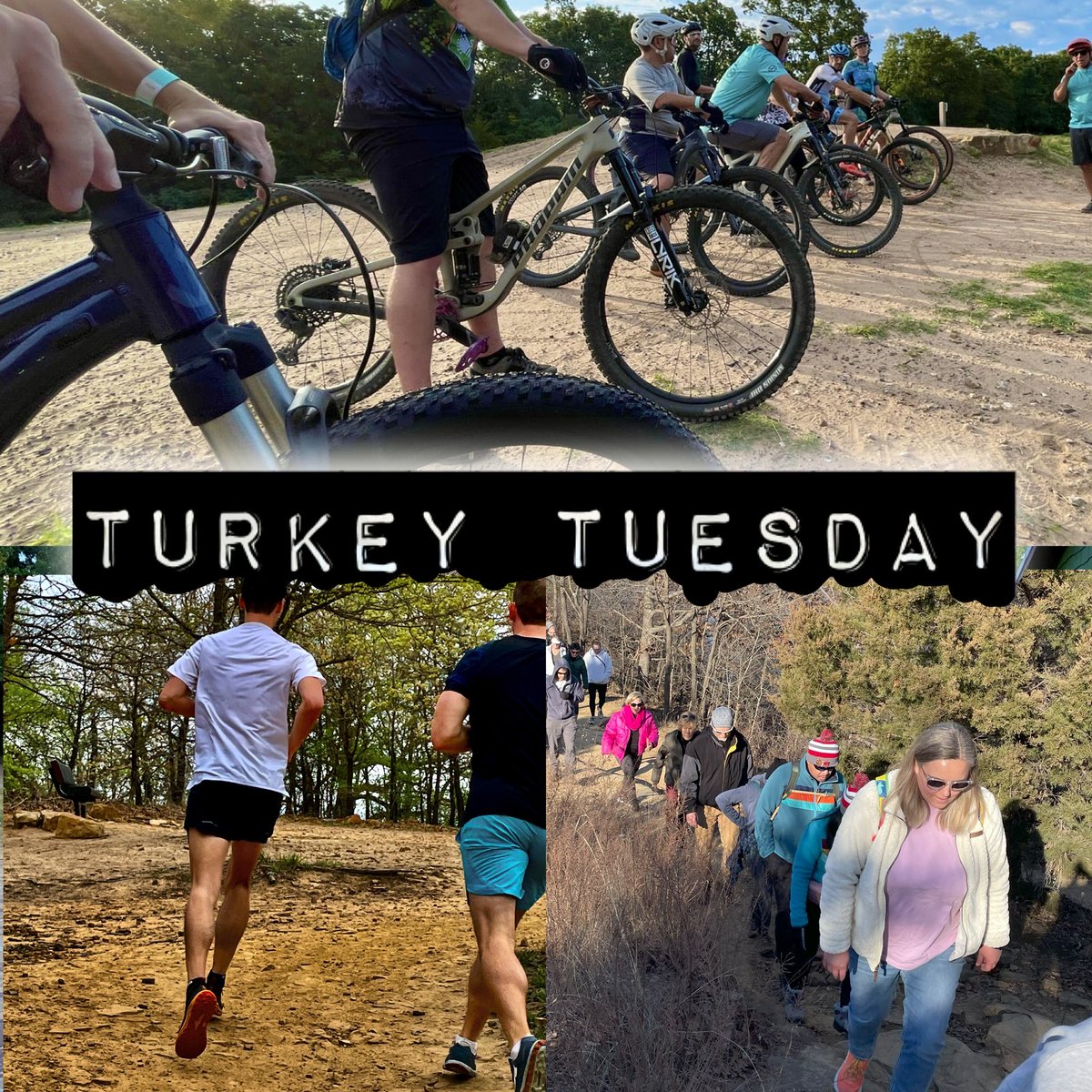 Turkey Mountain tweet media