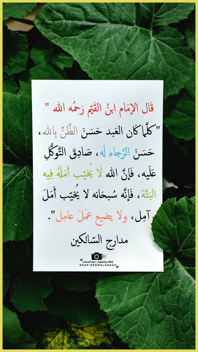 المُــدرّبَــة : دِيــم السَّــحَاب ( ஐ ) (@deemalsahap) on Twitter photo حسن الظن بالله ..!!♥️〰️🕊️ حسن الظن بالله ..!!♥️〰️🕊️