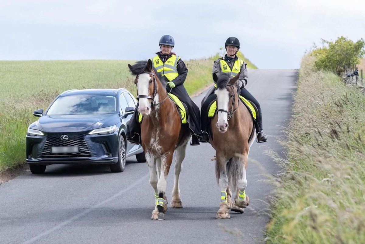Police Scotland Horses (@psoshorses) on Twitter photo PH’s Eyemouth & Glenluce took part in Operation Lose the Blinkers along with the local Community Policing Team and Road Policing in the Strathmartine and Tealing areas. <a href="/PSOSTayside/">Police Scotland Tayside</a> <a href="/BritishHorse/">The British Horse Society</a> #LoseTheBlinkers #ThereIsSpaceForEveryone
Images courtesy of Ewan Noble Photography PH’s Eyemouth & Glenluce took part in Operation Lose the Blinkers along with the local Community Policing Team and Road Policing in the Strathmartine and Tealing areas. <a href="/PSOSTayside/">Police Scotland Tayside</a> <a href="/BritishHorse/">The British Horse Society</a> #LoseTheBlinkers #ThereIsSpaceForEveryone
Images courtesy of Ewan Noble Photography