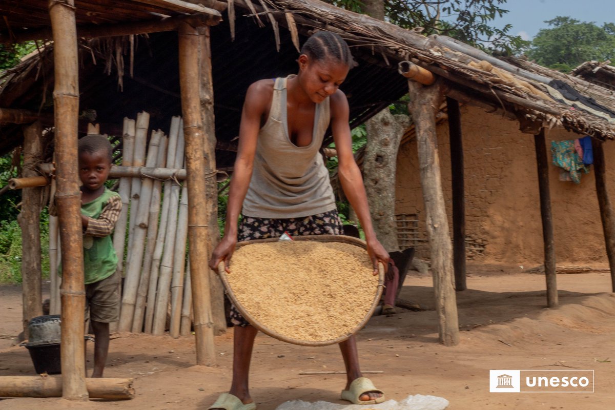 🌍#Yangambi dotée des nouvelles Associations Communautaires d’Épargne et de Crédit (#ACECs) pour autonomiser les communautés et protéger l’#environnement

🎯Grâce à la mission conduite par l’#UNESCO dans le groupement de #Bamanga, au cœur de la Réserve de biosphère de Yangambi,
