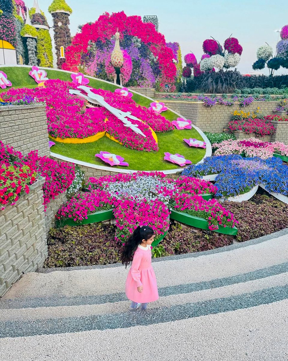 Dubai Miracle Garden tweet media