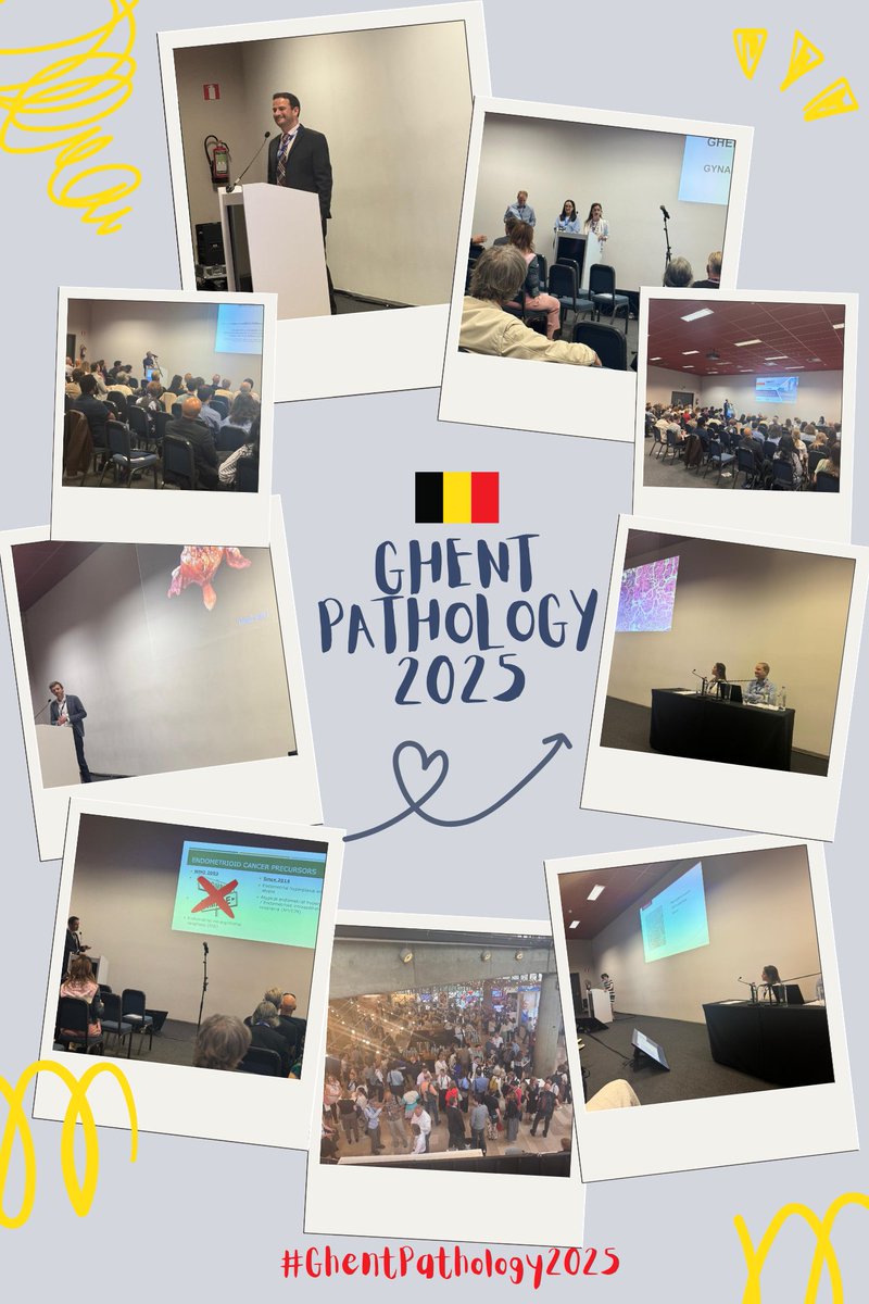 BAGPGynPath's tweet image. Amazing day at #GhentPathology2025 diving into hot topics in Gyn Pathology with our incredible speakers from the US and Europe. Inspired by the expertise and global collaboration! 🌍🧬 #GynPath #Pathology