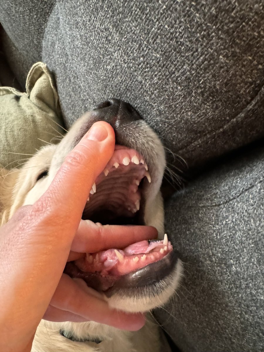 Stephanie Quick tweet media