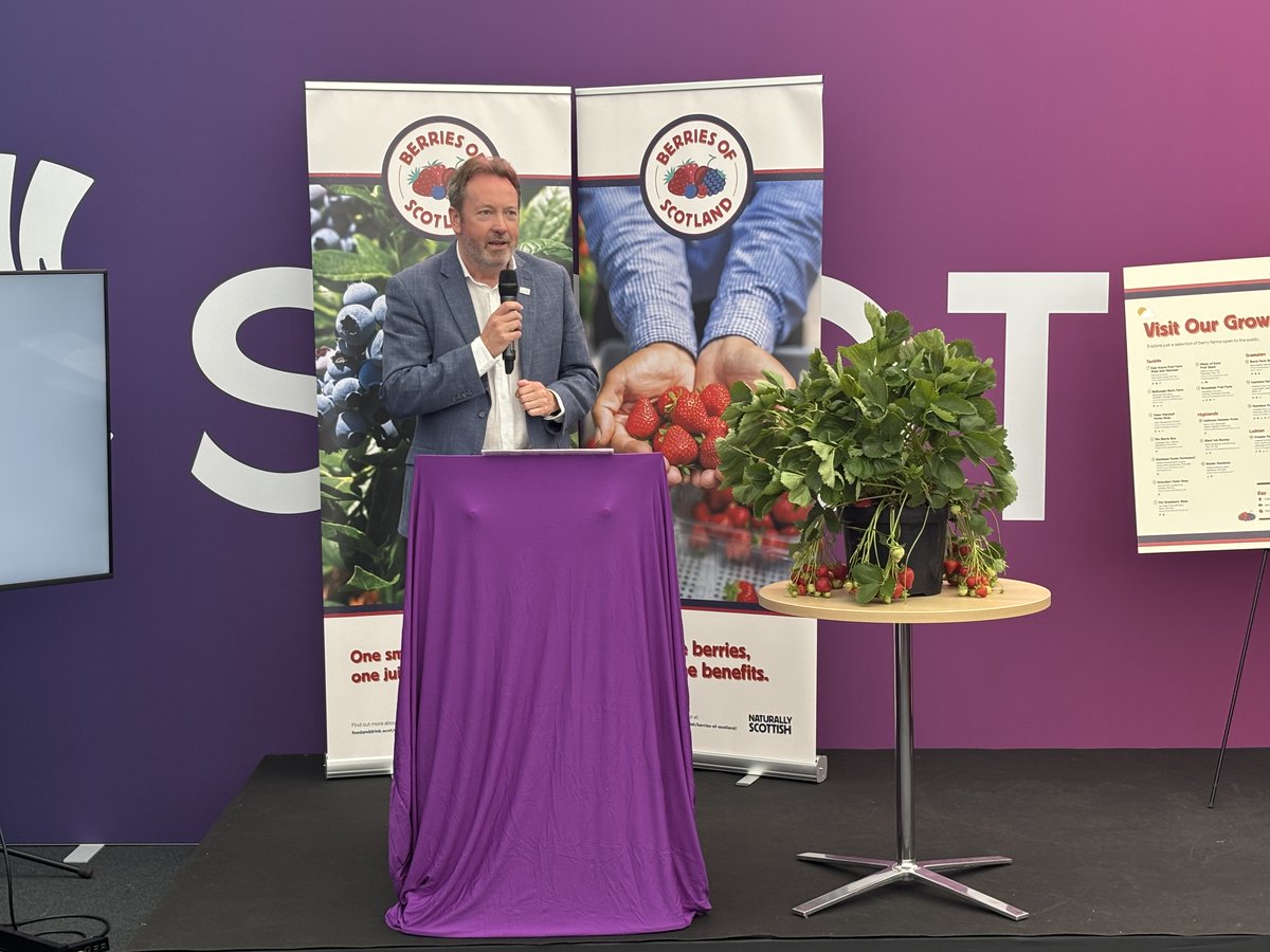 JamesHuttonInst's tweet photo. It was great to have our research featured at the @ScotlandRHShow to help launch the #BerriesOfScotland campaign by Scotland Food & Drink & supported by @scotgov! 🍓🌱
Proud to champion Scotland’s £188M berry sector.
#AgriResearch #BerryInnovation #RHS25 https://t.co/U8jmLPg8zR
