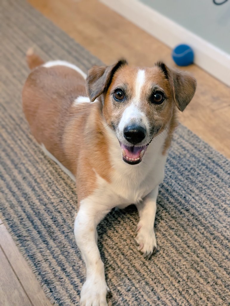 Books By Your Bedside tweet media