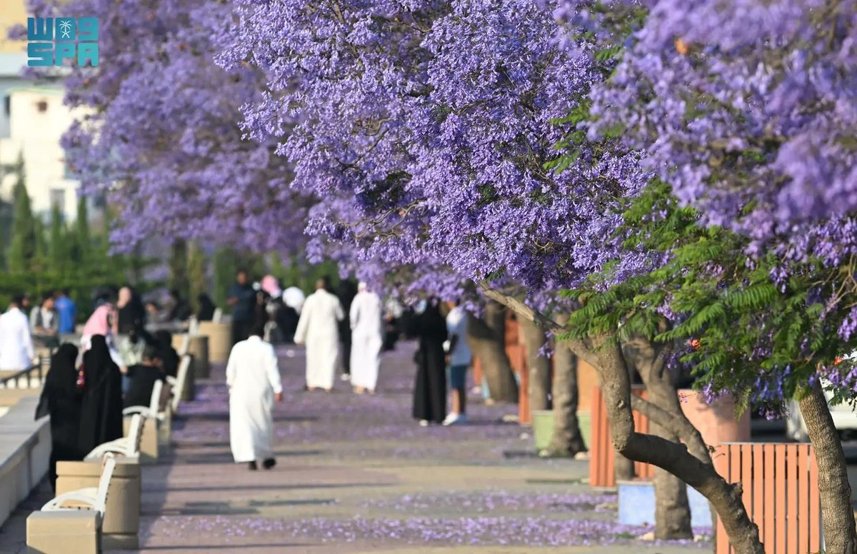 "عسير" الرابعة على مستوى المملكة بحوالي 7.5 ملايين سائح 2024م.
spa.gov.sa/N2345835
#واس_اقتصادي